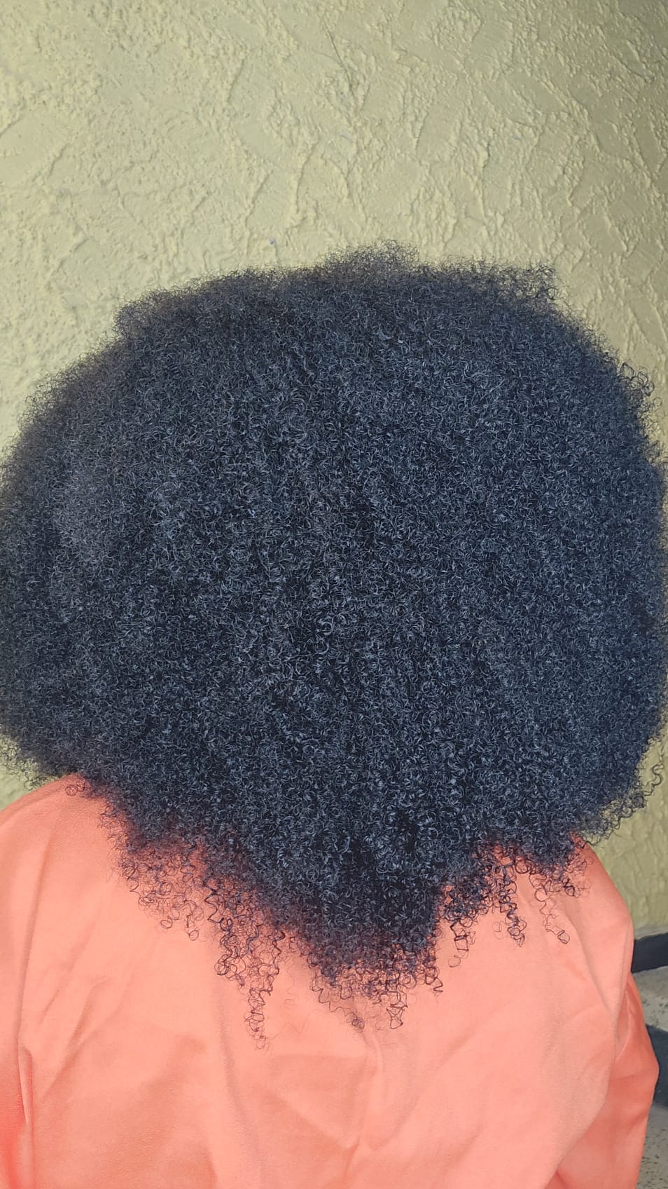 AFRO HUMAN HAIR WIG